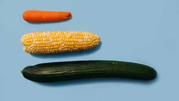 Unterschiedliche Größen eines männlichen Mitglieds am Beispiel von Gemüse. 